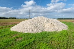 Bodenkalkung -Kalk in der Landwirtschaft